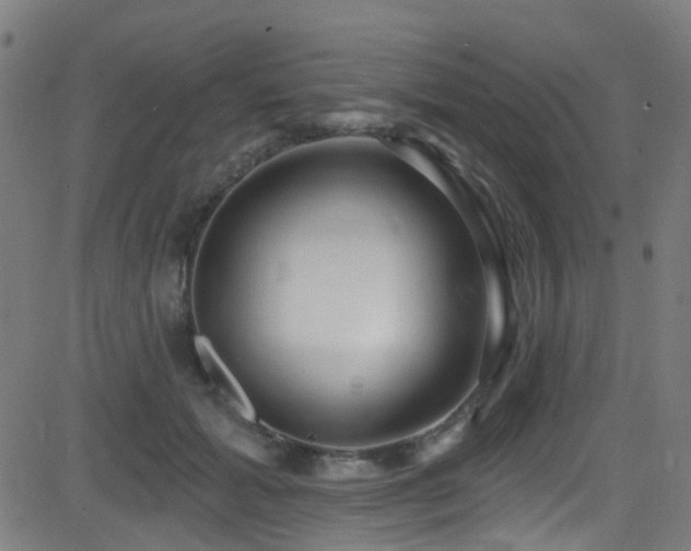 X0000082980605200702011425