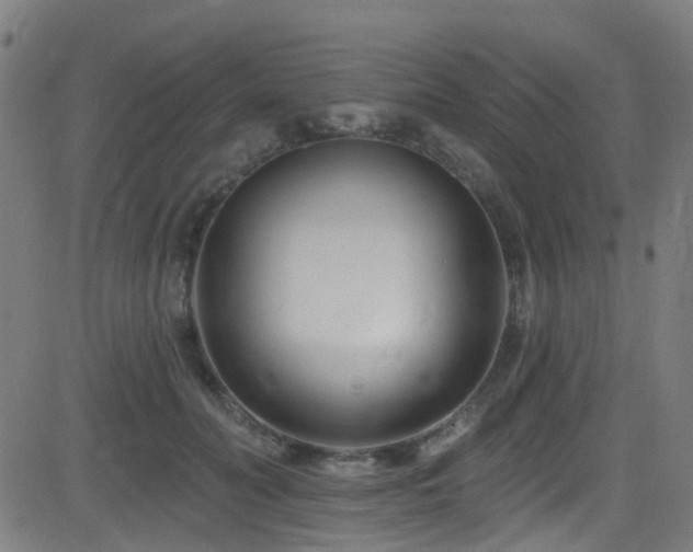 X0000082980606200702011425