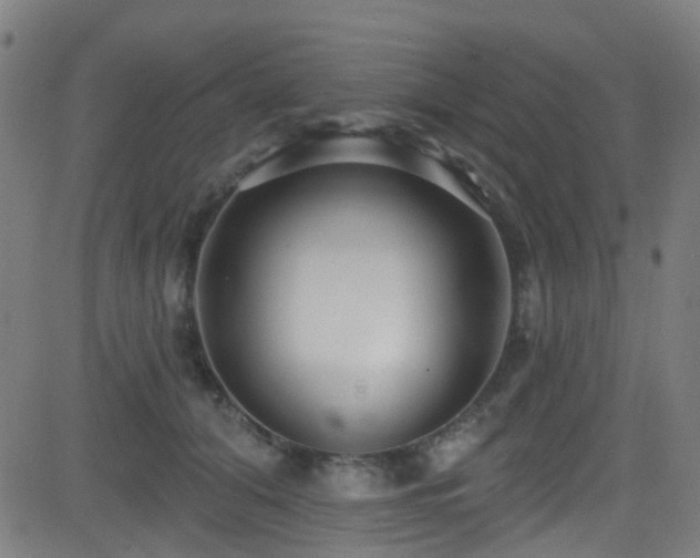 X0000082980608200702011425