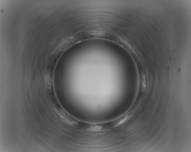 X0000082980609200702011425