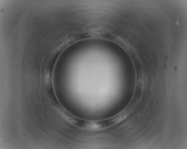 X0000082980610200702011425