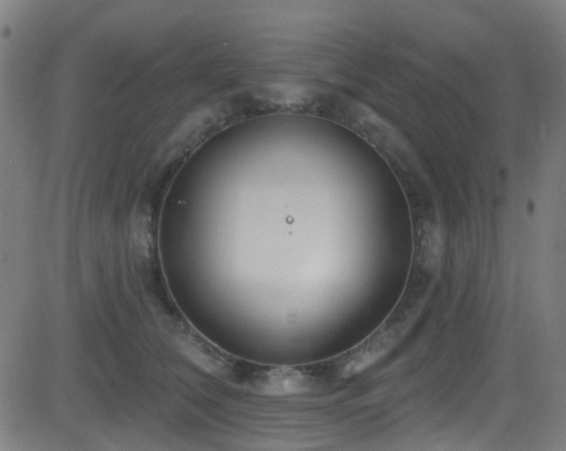 X0000082980612200702011425
