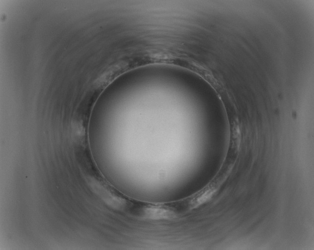 X0000082980614200702011425