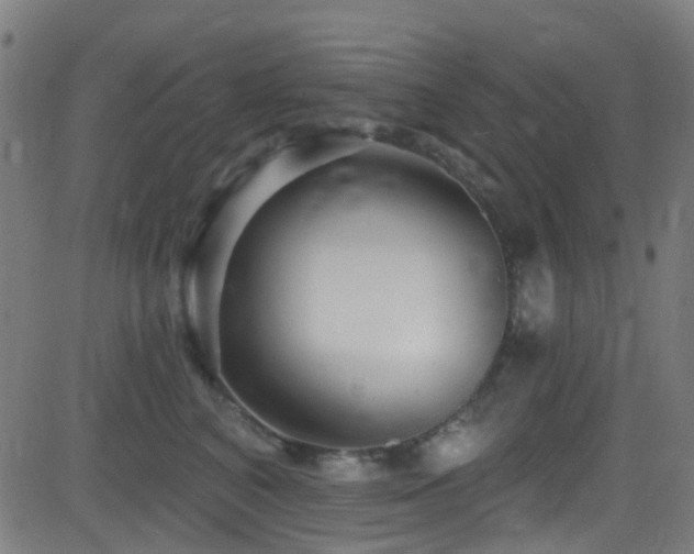 X0000082980616200702011425