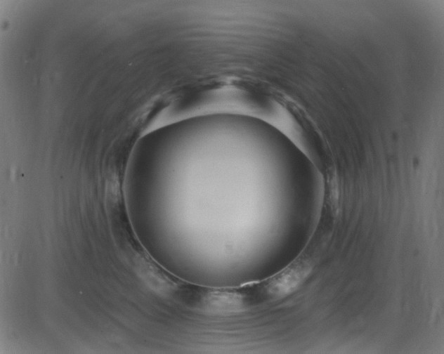 X0000082980617200702011425
