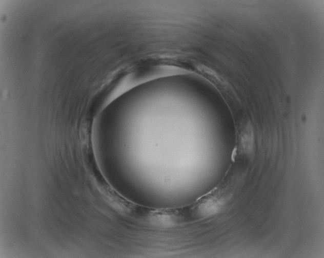 X0000082980620200702011425