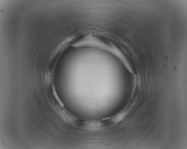 X0000082980621200702011425