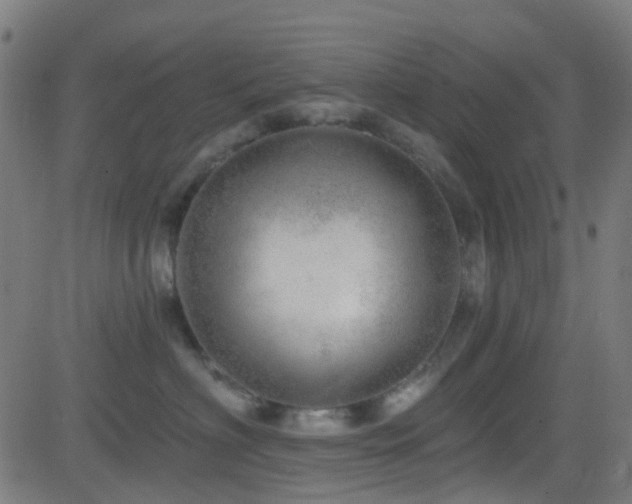 X0000082980622200702011425