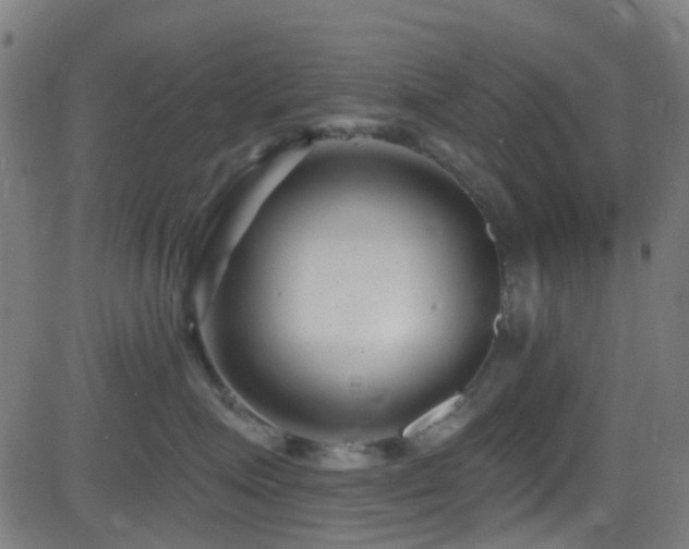 X0000082980623200702011425