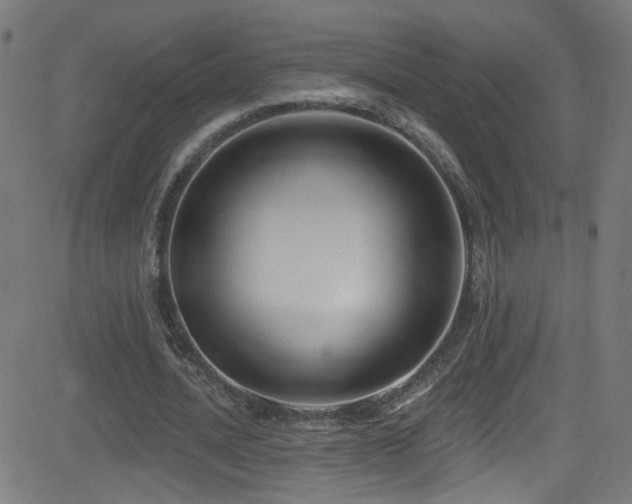 X0000082980628200702011424