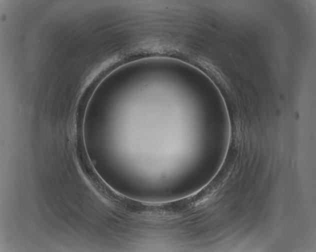 X0000082980630200702011424