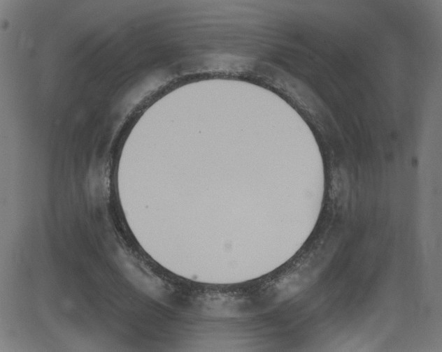 X0000082980632200702011424