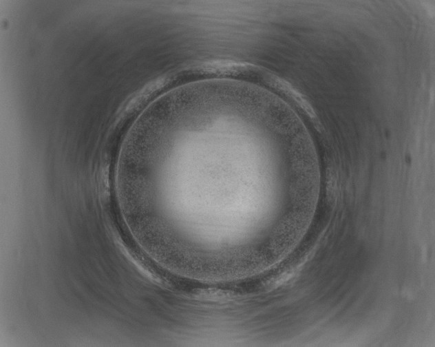 X0000082980633200702011424