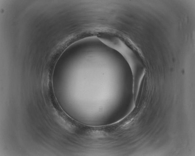 X0000082980637200702011424
