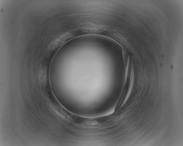 X0000082980642200702011424