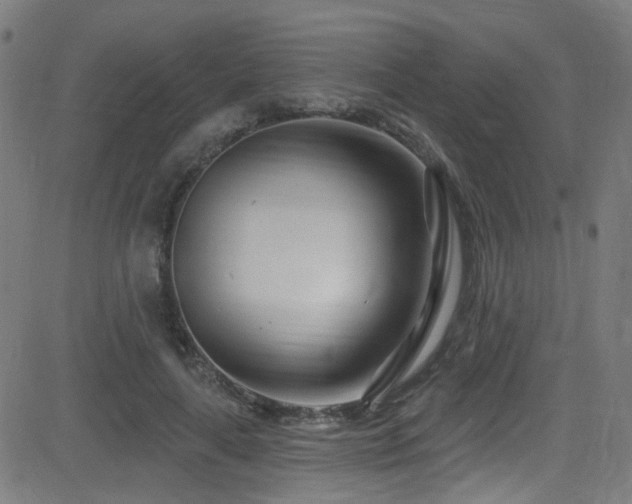X0000082980643200702011424