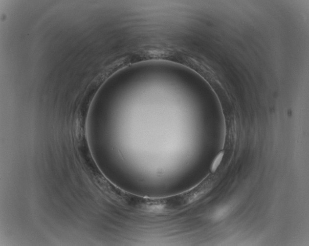 X0000082980651200702011424