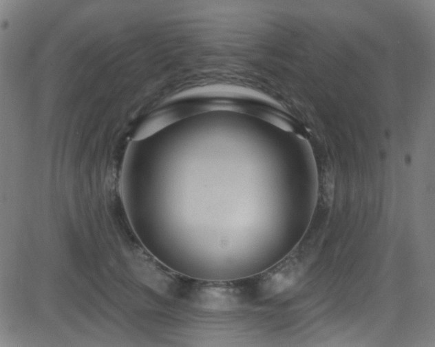 X0000082980657200702011424