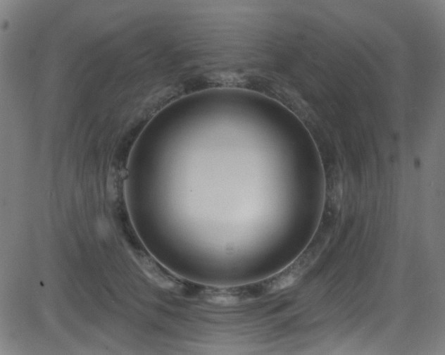 X0000082980658200702011424
