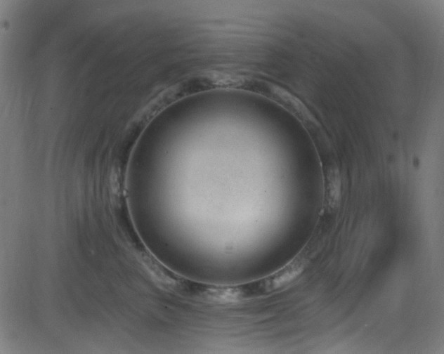 X0000082980667200702011425