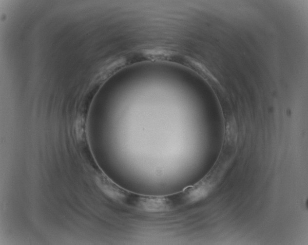 X0000082980671200702011425