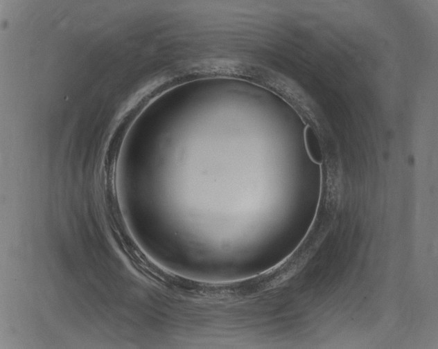 X0000082980674200702011424