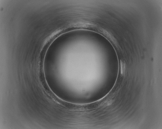 X0000082980675200702011424