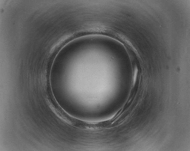 X0000082980677200702011424