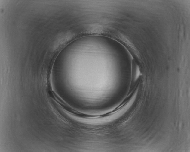 X0000082980681200702011424