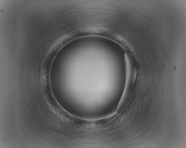 X0000082980688200702011424