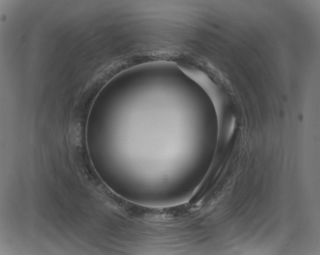 X0000082980689200702011424
