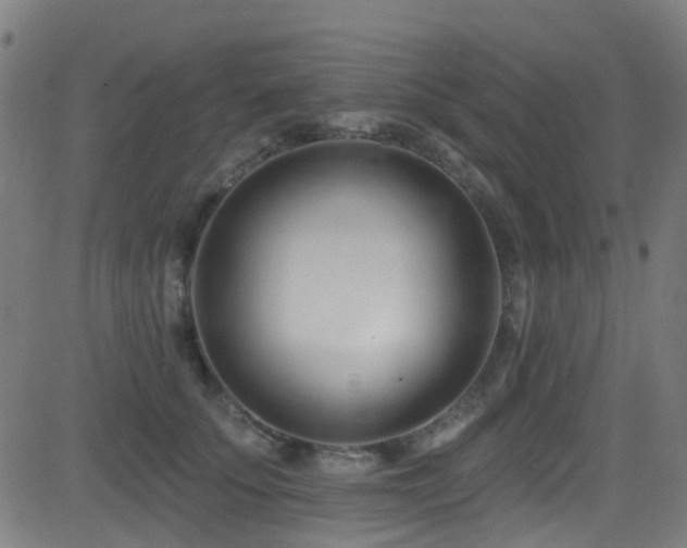 X0000082980707200702011423