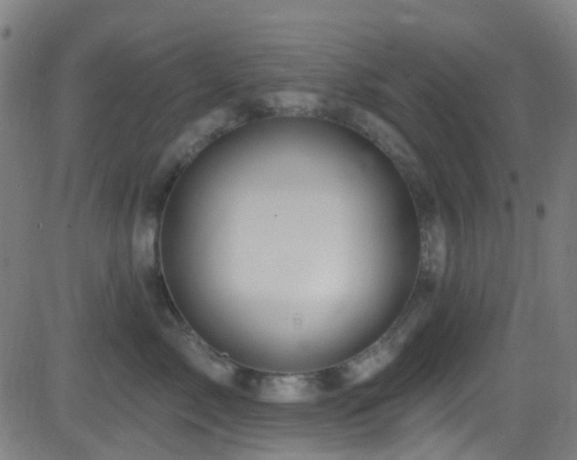 X0000082980717200702011423