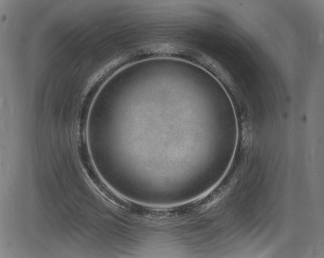 X0000082980725200702011422