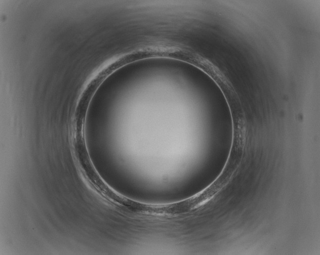 X0000082980726200702011422