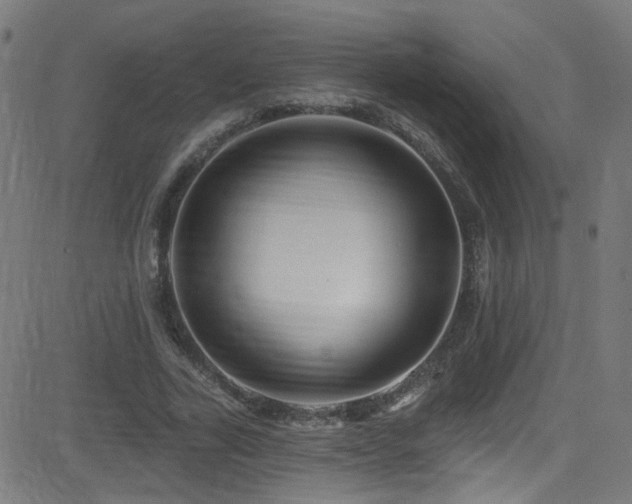 X0000082980731200702011422