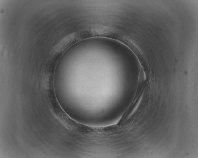 X0000082980738200702011423
