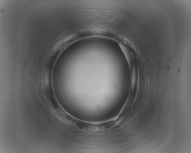 X0000082980740200702011423