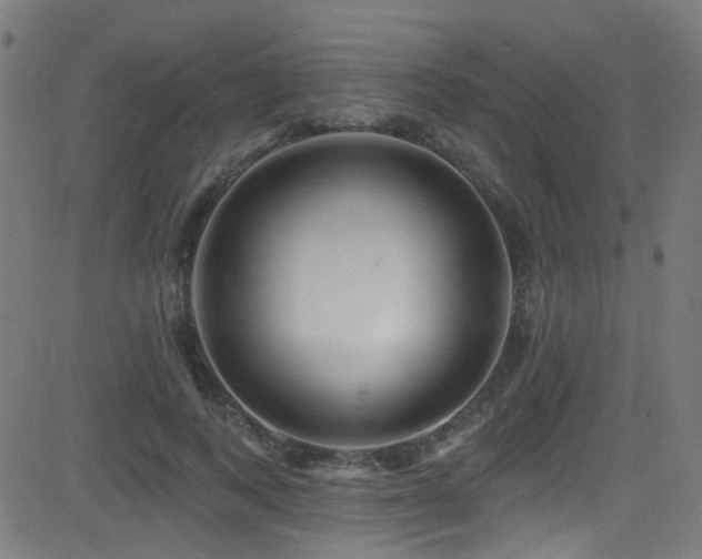 X0000082980743200702011423