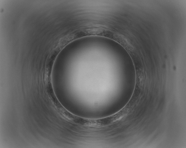 X0000082980745200702011423