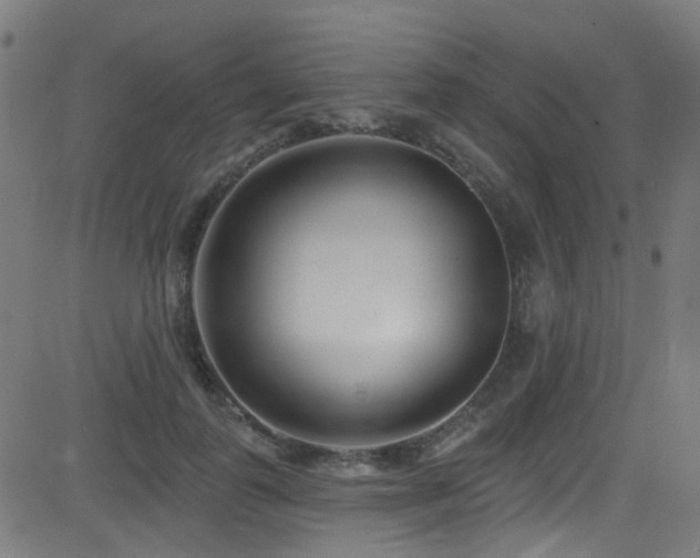 X0000082980747200702011423