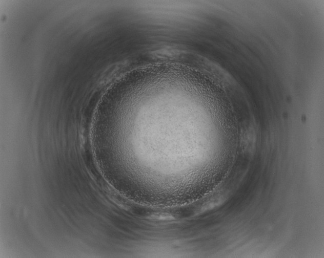 X0000082980749200702011423