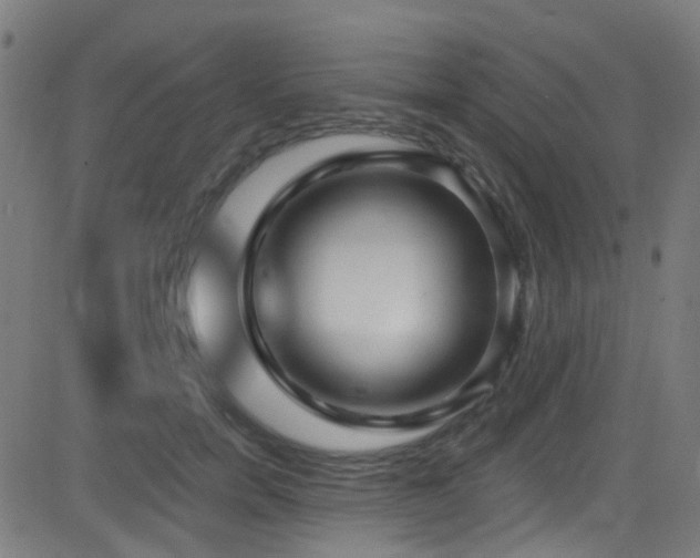 X0000082980750200702011423