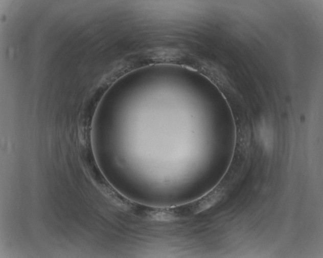 X0000082980755200702011423