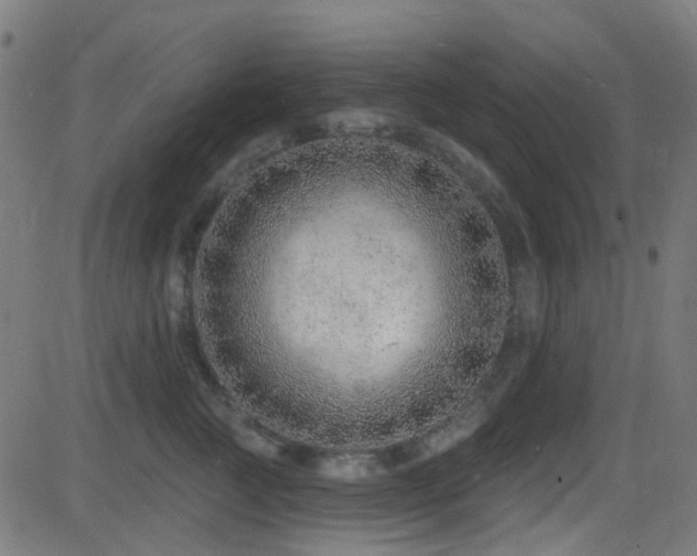 X0000082980761200702011423