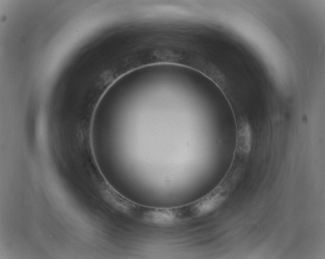 X0000082980765200702011423