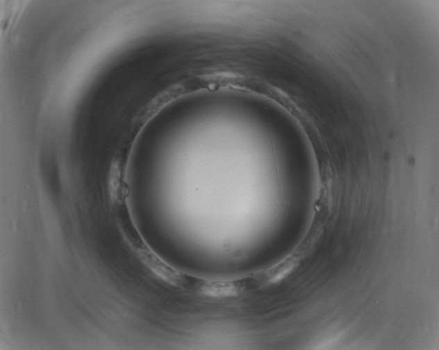 X0000082980767200702011423