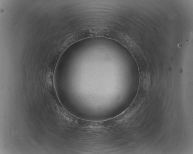 X0000082980770200702011422