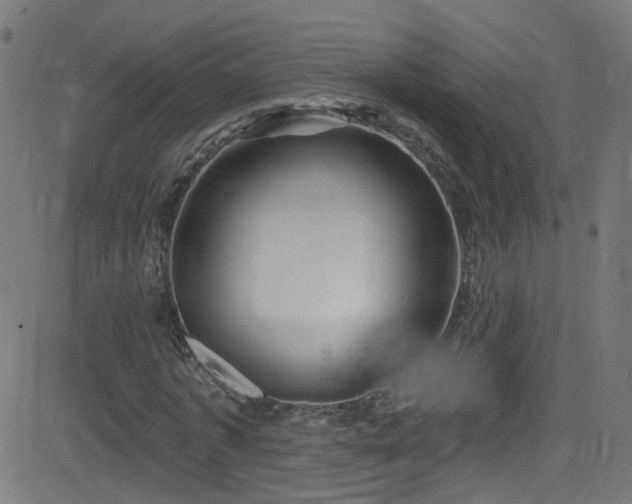 X0000082980773200702011422