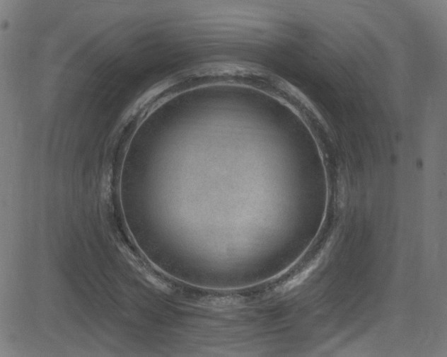 X0000082980778200702011422
